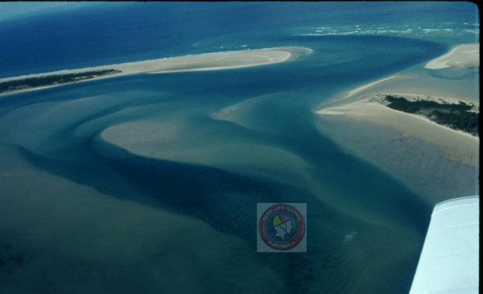 SHALLOW INLET ISLAND - Beach in Manns Beach Wellington VIC - SLS Beachsafe