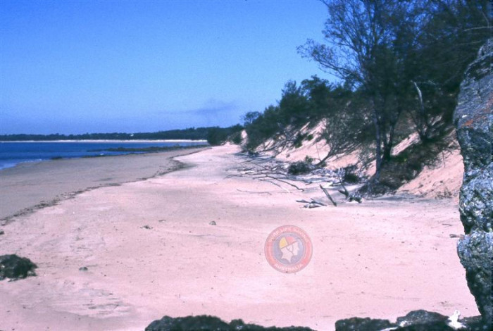 Shoal Point - Beach in Shoal Point Mackay QLD - SLS Beachsafe