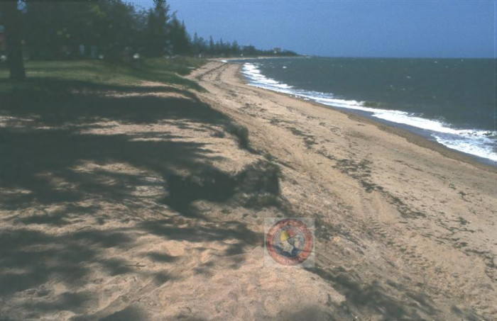 Suttons-Margate - Beach in Margate Moreton Bay QLD - SLS Beachsafe