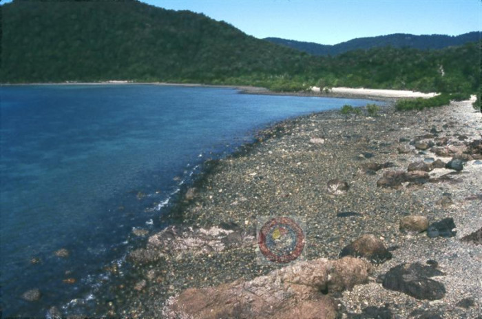 Swamp Bay - Beach in Mount Rooper Whitsunday QLD - SLS Beachsafe