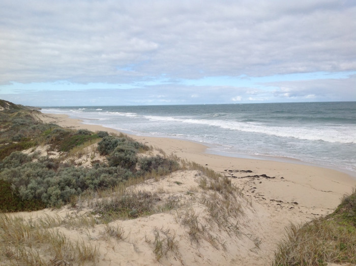 The Spot (S) - Beach in Yanchep Wanneroo WA - SLS Beachsafe
