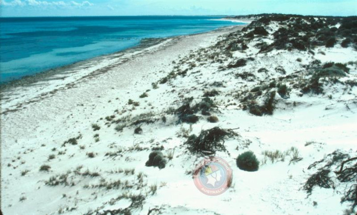 Tiparra Rocks - Beach in Balgowan Yorke Peninsula SA - SLS Beachsafe