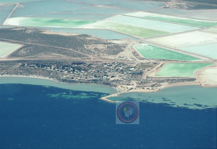 Useless Loop (3) - Beach in Useless Loop Shark Bay WA - SLS Beachsafe