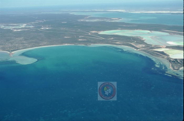 Useless Loop (S 1) - Beach in Useless Loop Shark Bay WA - SLS Beachsafe