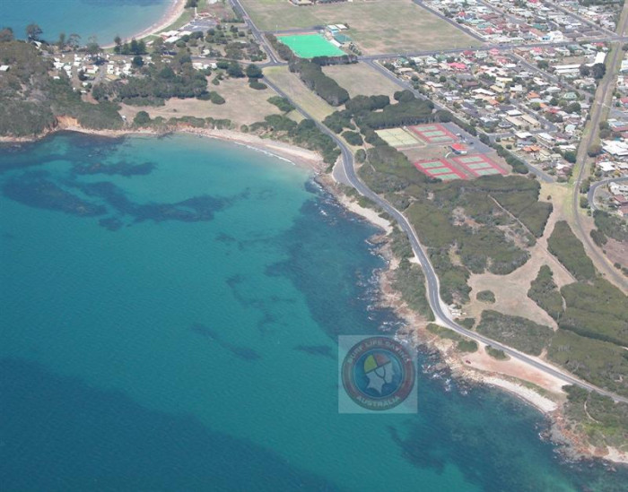 Coles (E 2) Beach in Devonport Devonport TAS SLS Beachsafe