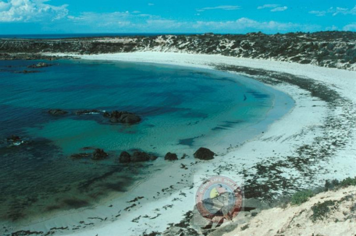 Corny Point - Beach in Corny Point Yorke Peninsula SA - SLS Beachsafe