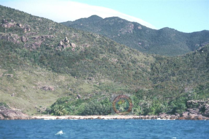 Hillock Point (south) - Beach in Lucinda Hinchinbrook QLD - SLS Beachsafe
