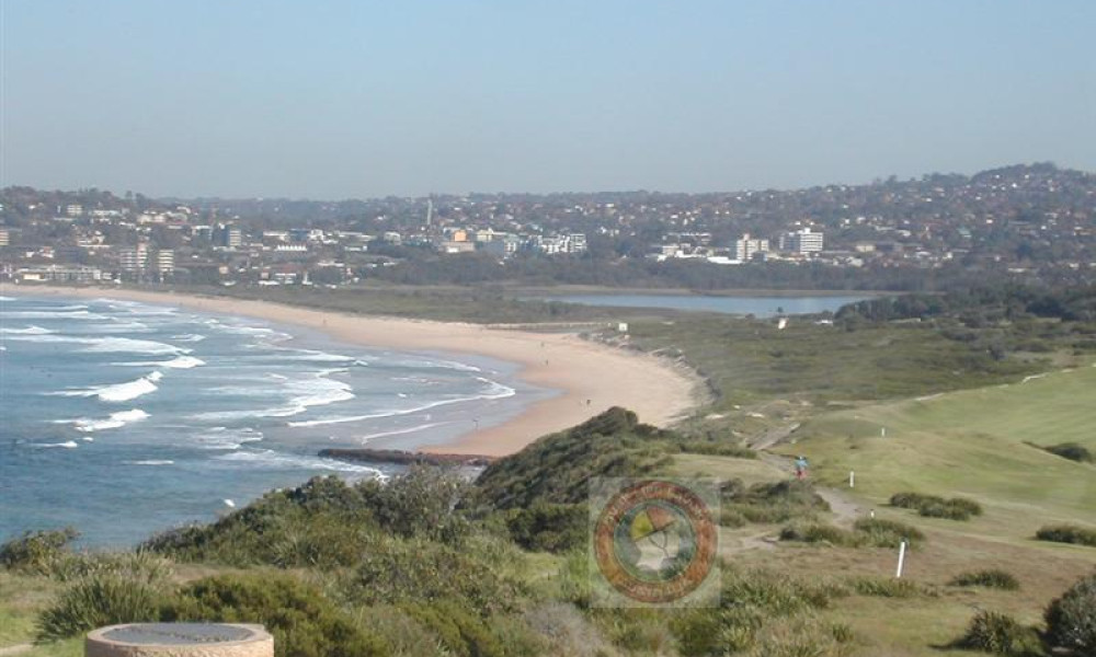Dee Why Beach