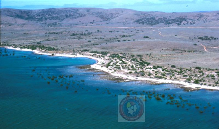 Monument Hill - Beach in Middleback Range Whyalla SA - SLS Beachsafe