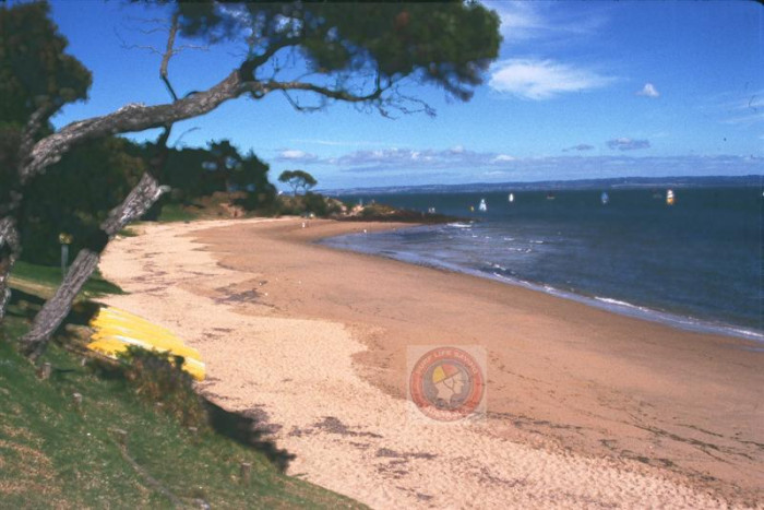 MUSSEL ROCKS - Beach in Cowes Bass Coast VIC - SLS Beachsafe