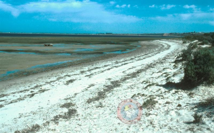 Pine Point (south 1) - Beach in Pine Point Yorke Peninsula SA - SLS ...
